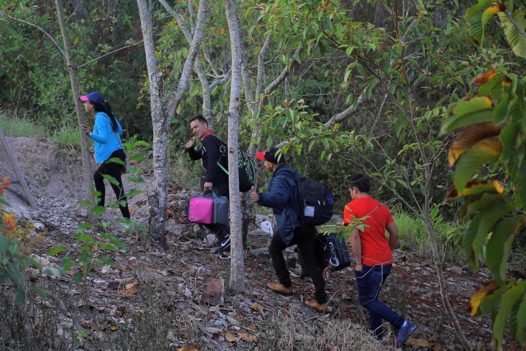 Allá no hay trabajo, por eso seguirán viniendo: dice migrante sobre caravanas. Noticias en tiempo real