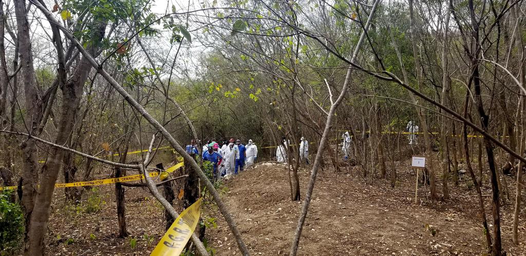 Localizan 11 cuerpos en fosa clandestina en Sinaloa. Noticias en tiempo real