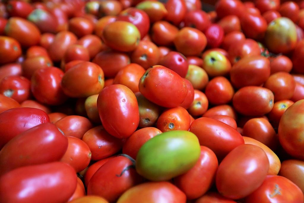 Arancel al tomate afecta inversiones. Noticias en tiempo real