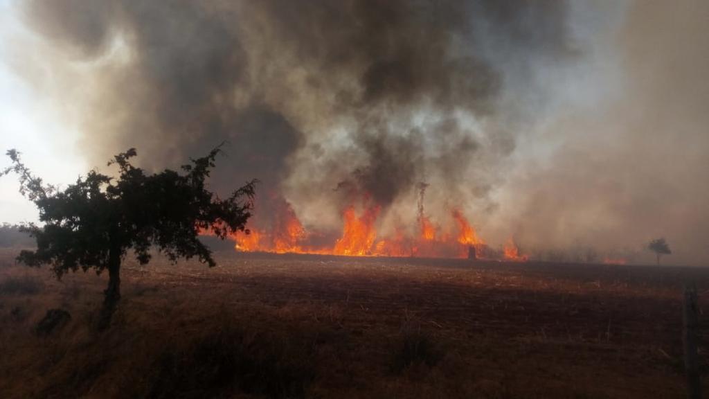 Realizan sobrevuelos en área afectada por incendio en Saltillo. Noticias en tiempo real