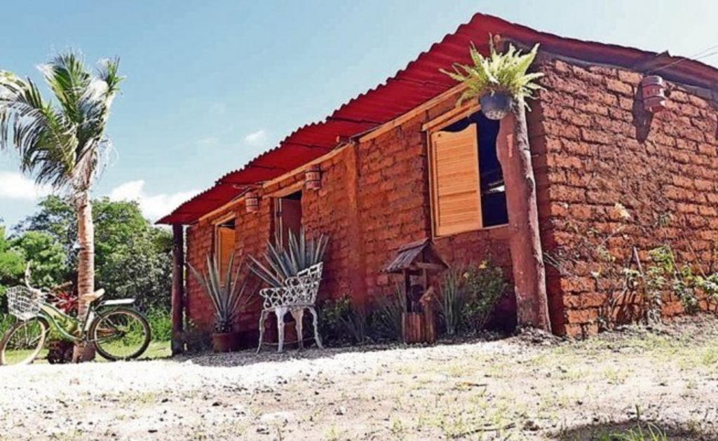 Construye su casa con sargazo en Quintana Roo. Noticias en tiempo real