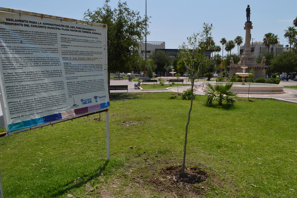 Plantan 21 árboles en la Plaza Mayor de Torreón. Noticias en tiempo real