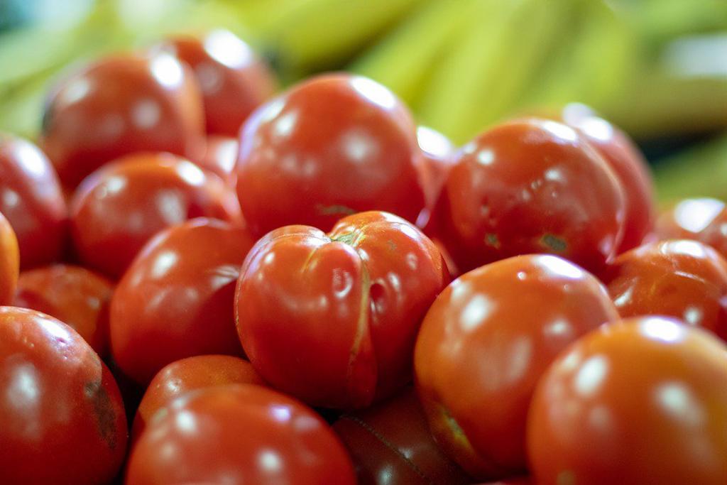 Piden suspender arancel al tomate mexicano. Noticias en tiempo real