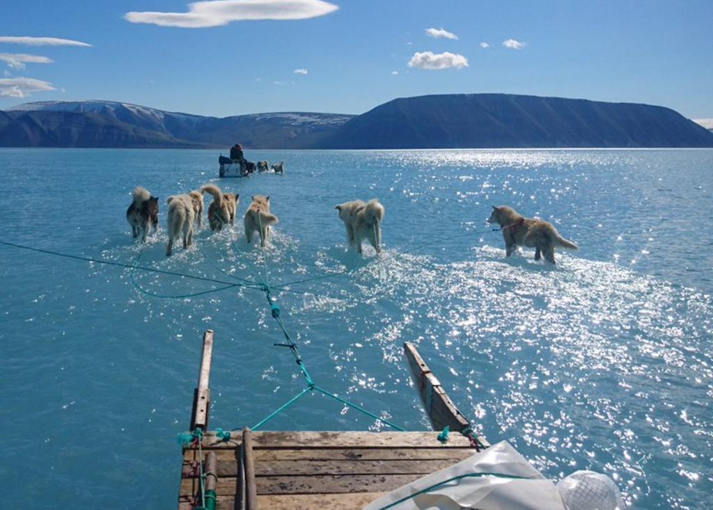 Imagen evidencia el derretimiento de hielo en Groenlandia. Noticias en tiempo real
