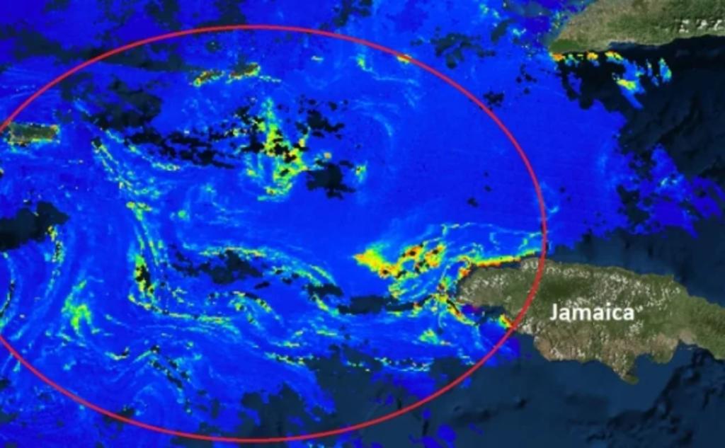 Mancha de sargazo amenaza costas de Quintana Roo. Noticias en tiempo real