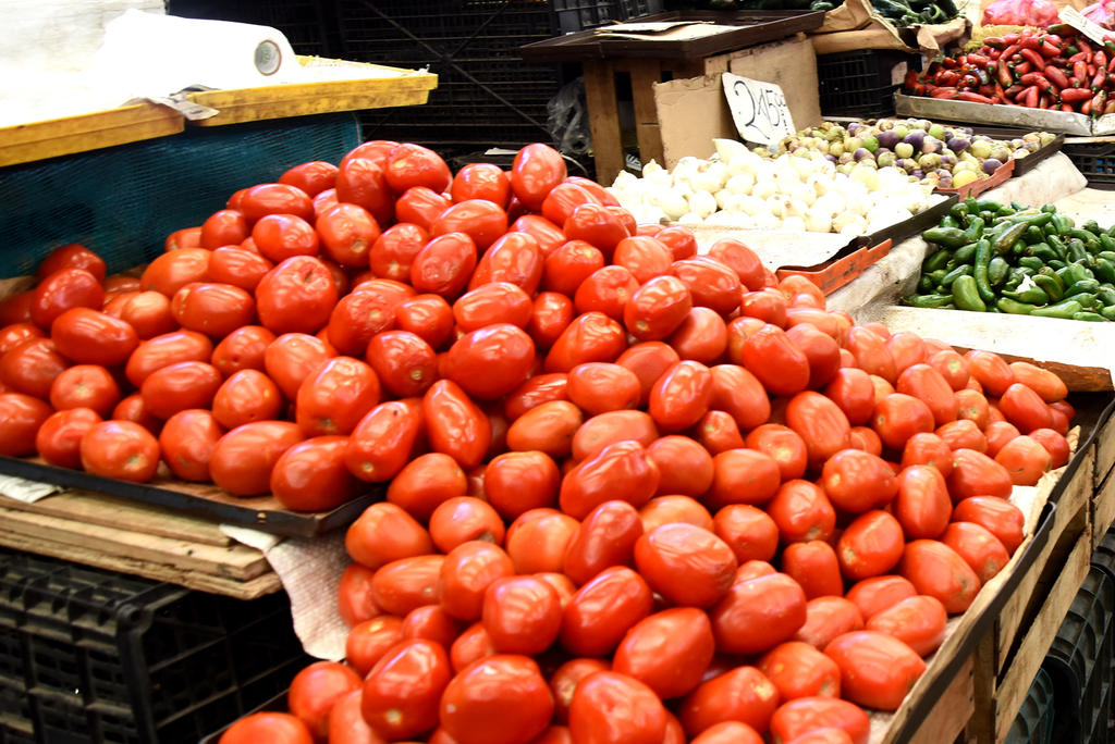 Se dejará de exportar tomate a EUA ante arancel. Noticias en tiempo real