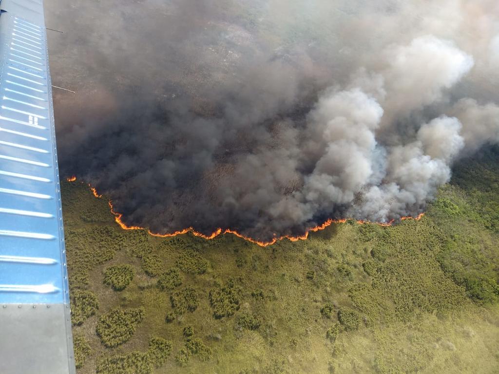 Combaten incendio en reserva natural Sian Ka’an en Quintana Roo. Noticias en tiempo real