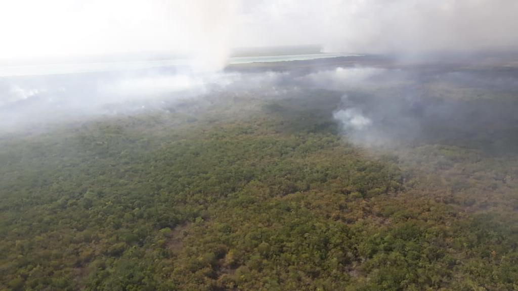Mantienen combate a incendio en reserva de Quintana Roo. Noticias en tiempo real
