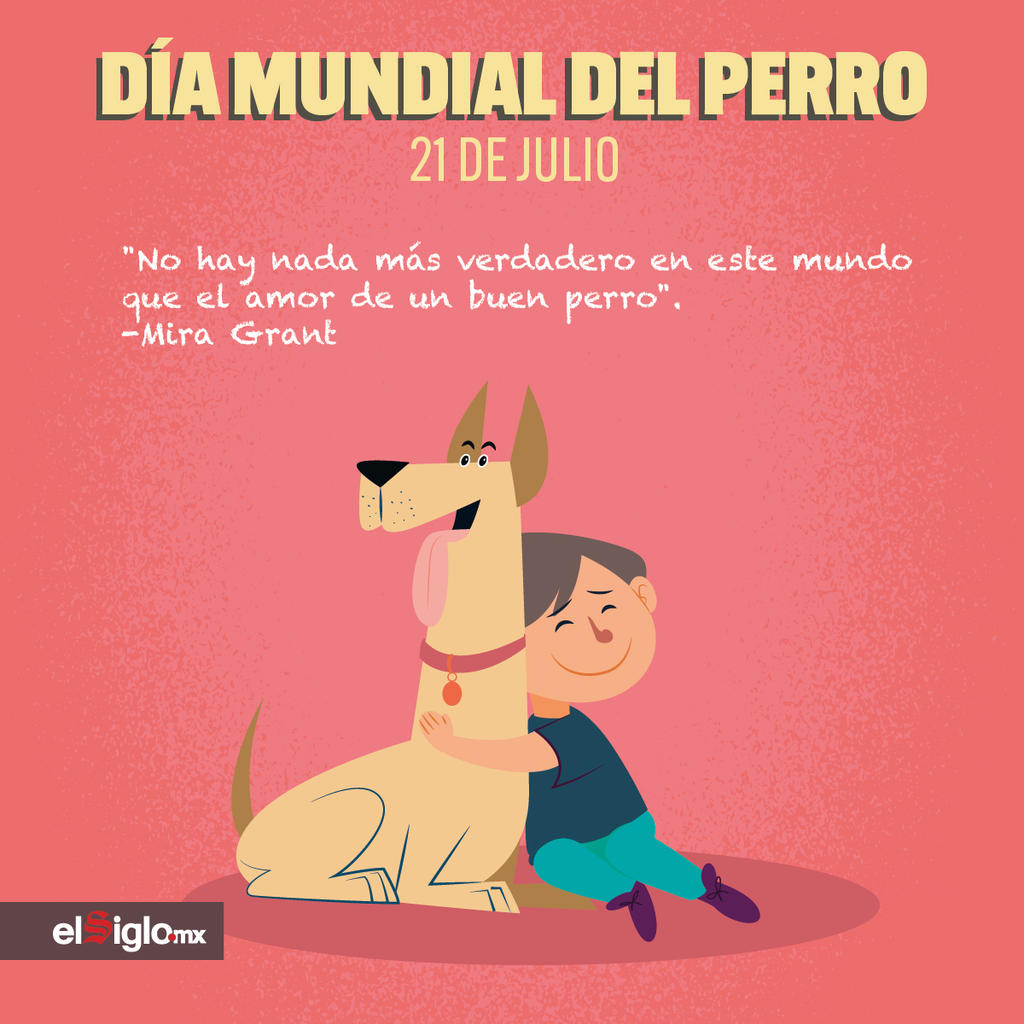 Hoy se celebra el Día Mundial del Perro. Noticias en tiempo real