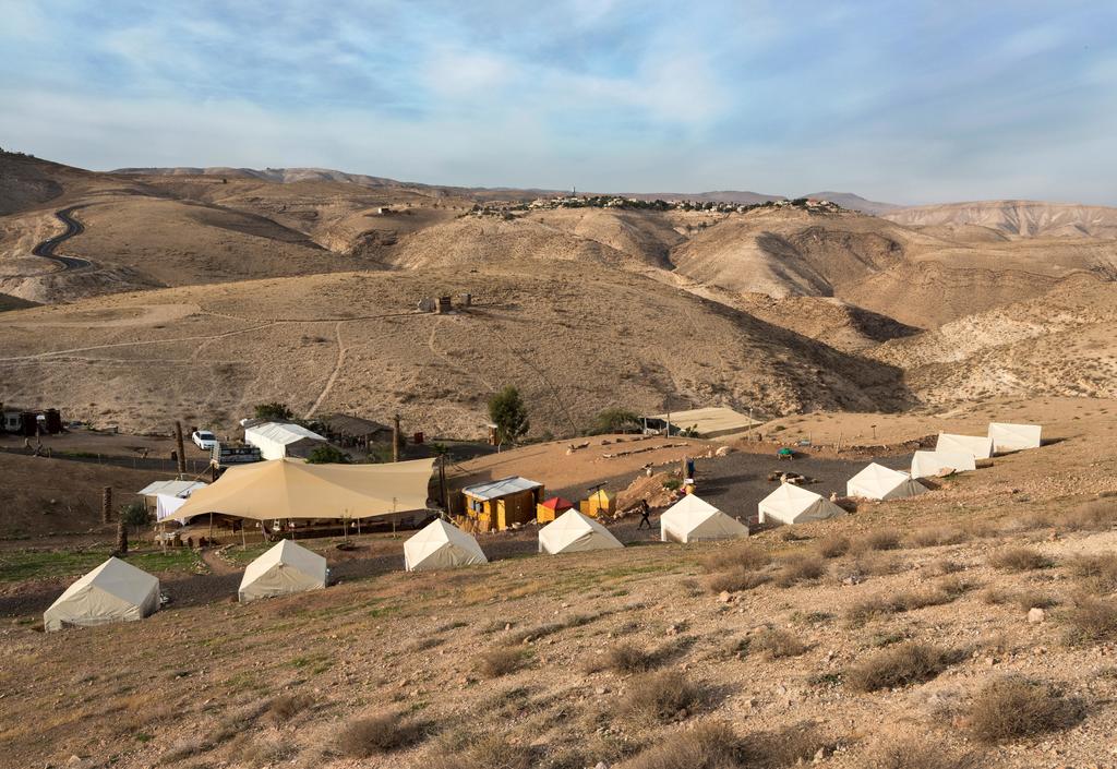 Aumentan asentamientos israelíes durante gobierno de Trump. Noticias en tiempo real