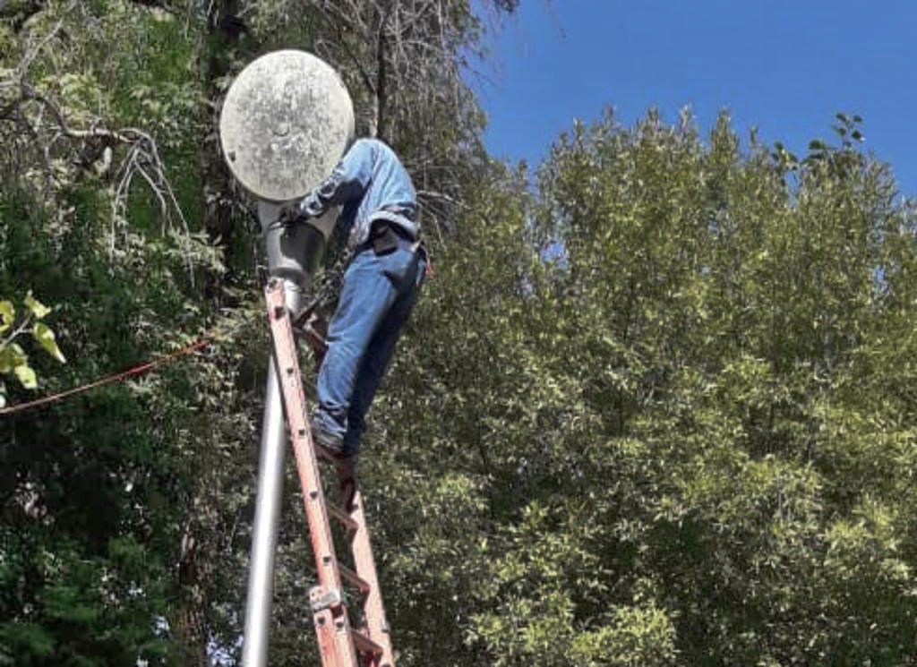 Rehabilitan luminarias en el parque Morelos. Noticias en tiempo real