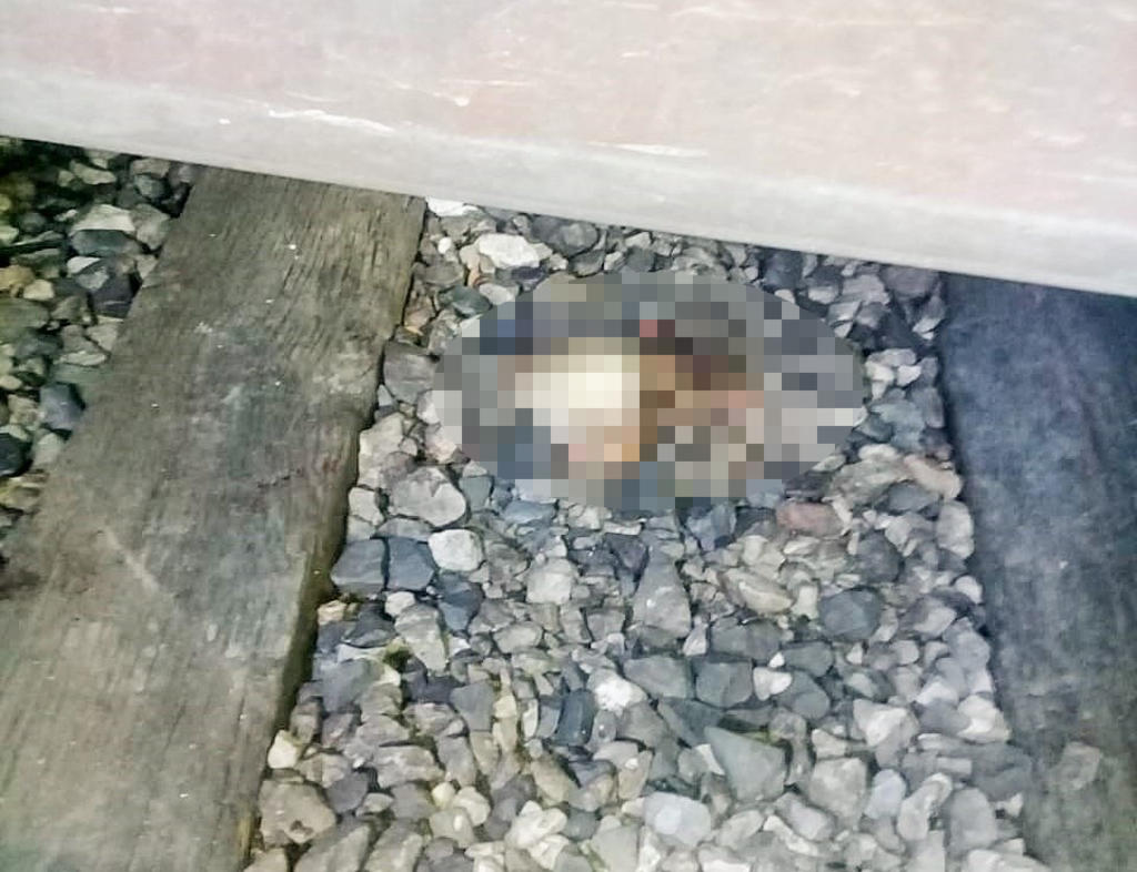 Muere hombre presuntamente arrollado por el tren en Gómez Palacio. Noticias en tiempo real