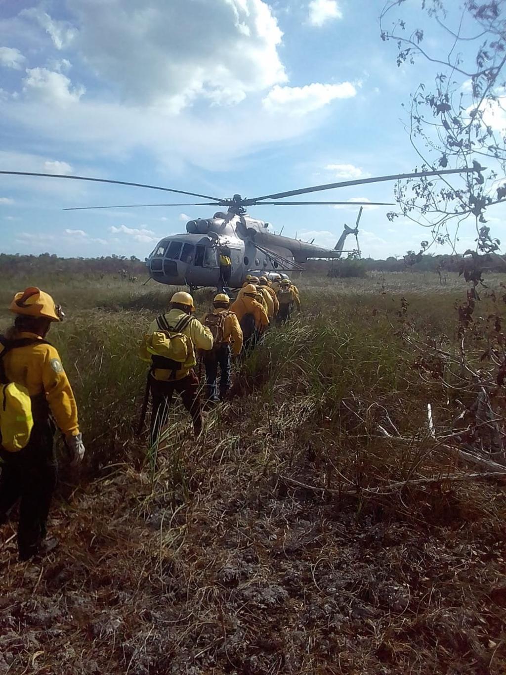 Avanza control del incendio en reserva de Sian Ka´an en Quintana Roo. Noticias en tiempo real