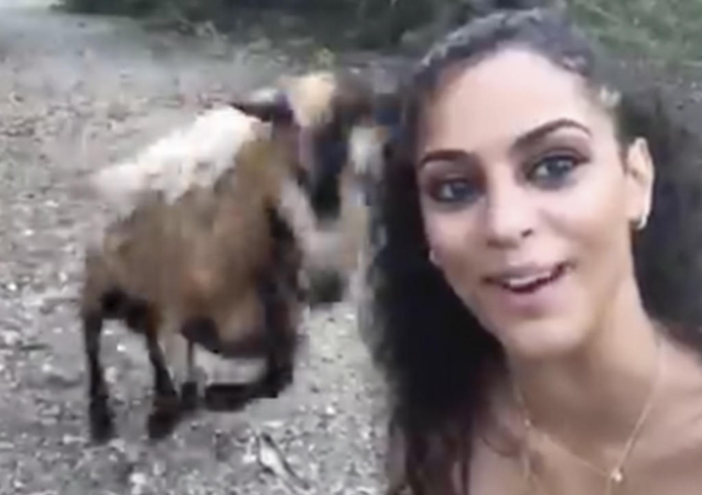 Intenta tomarse selfie con cabra y ocurre algo inesperado. Noticias en tiempo real