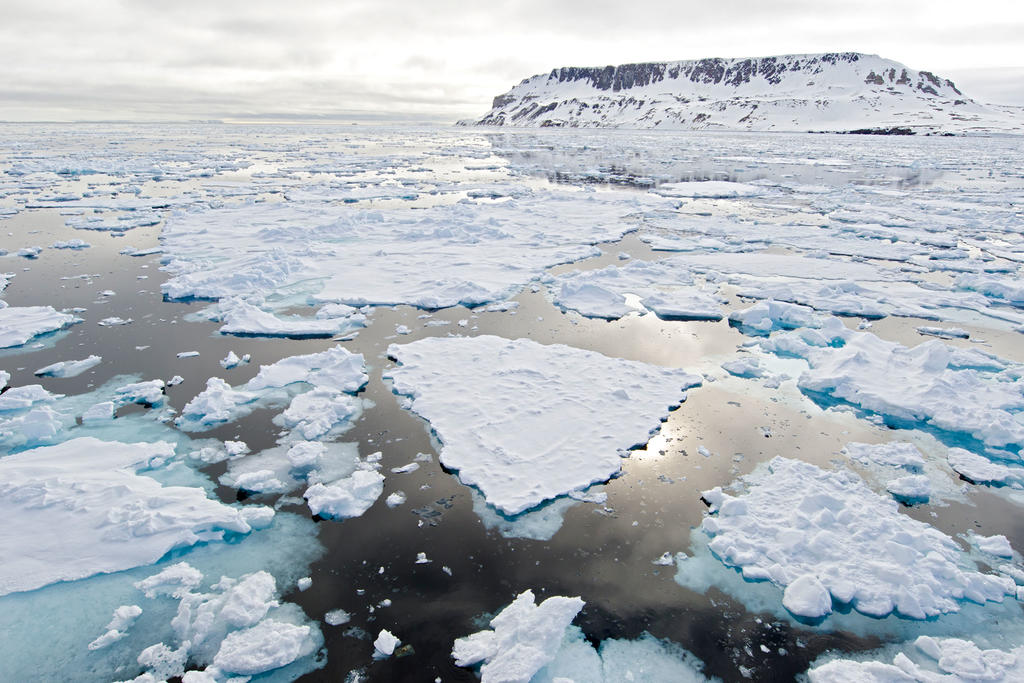 Mar de Bering sufre pérdida de hielo sin precedentes. Noticias en tiempo real