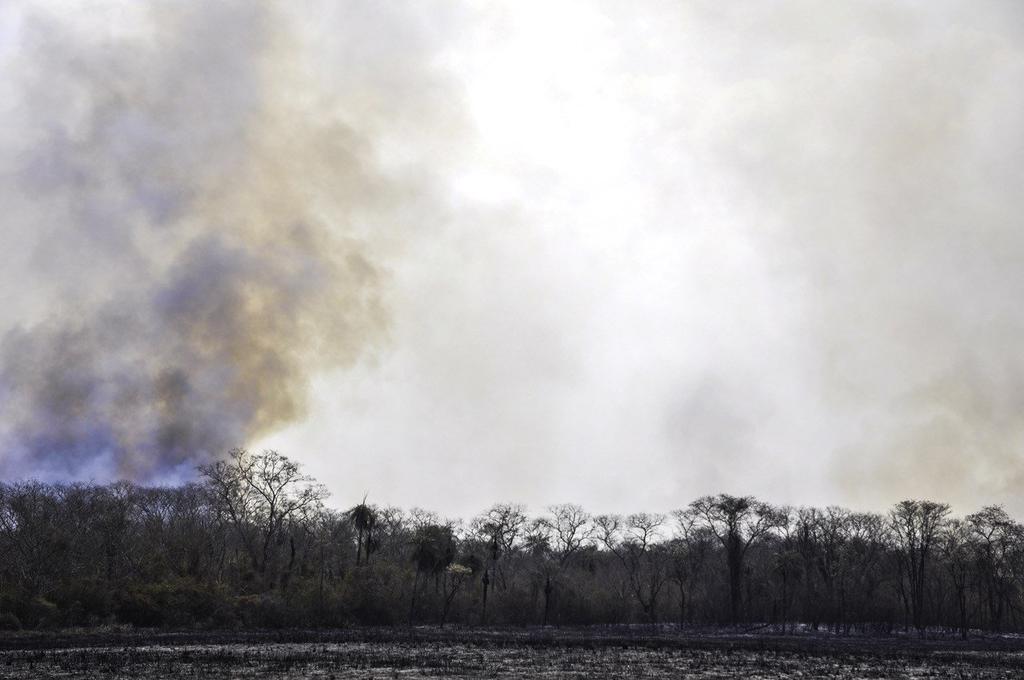 Paraguay decreta emergencia por incendios en la zona del Pantanal. Noticias en tiempo real