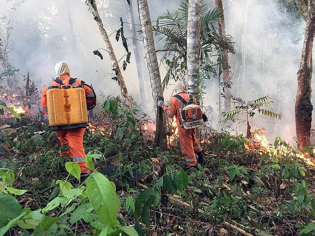 Confirma Chile ofrecimiento de ayuda a Brasil por incendios en el Amazonas. Noticias en tiempo real