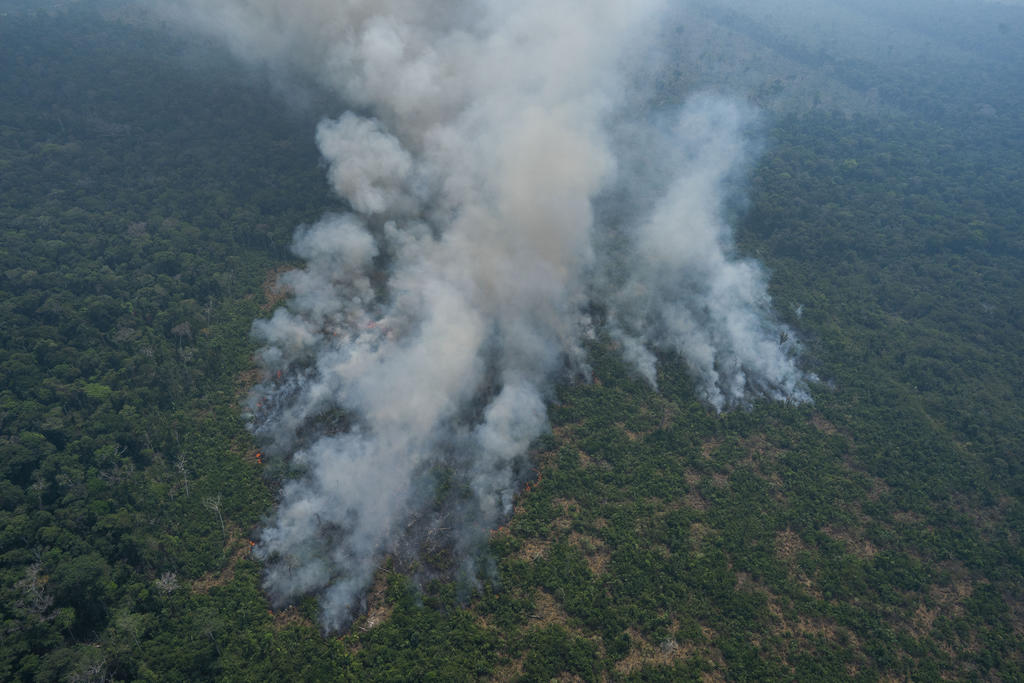 México expresa profunda preocupación por incendios en el Amazonas. Noticias en tiempo real