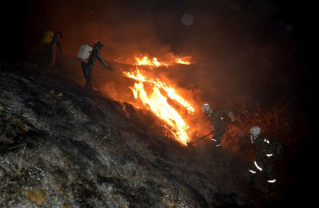 Alertan que Colombia está bajo la amenaza de incendios forestales. Noticias en tiempo real