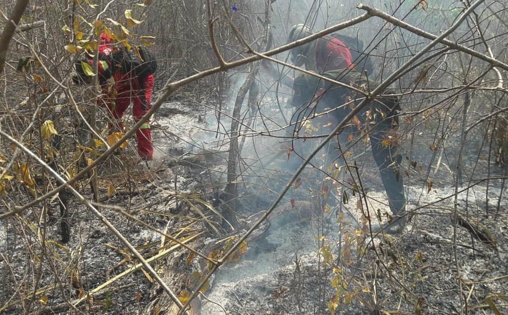 Bolivia pide una reunión de urgencia de cancilleres por el Amazonas. Noticias en tiempo real