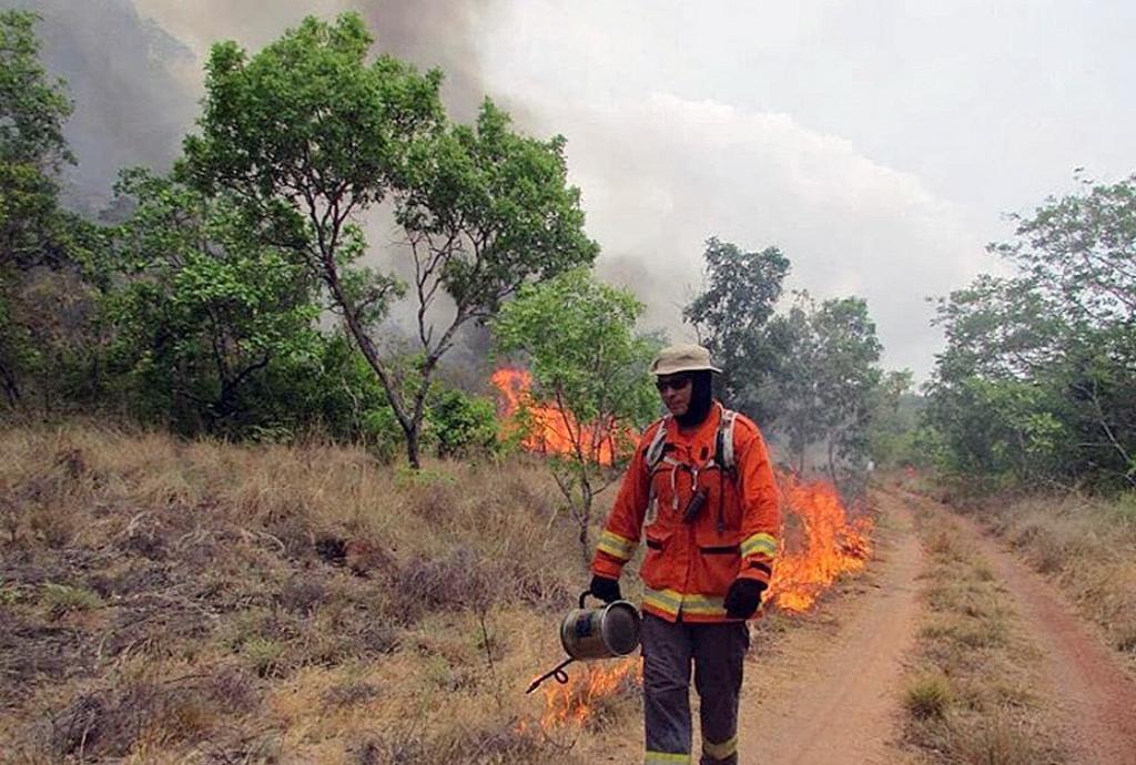 Ejército de Brasil inicia combate de incendios en Amazonas. Noticias en tiempo real