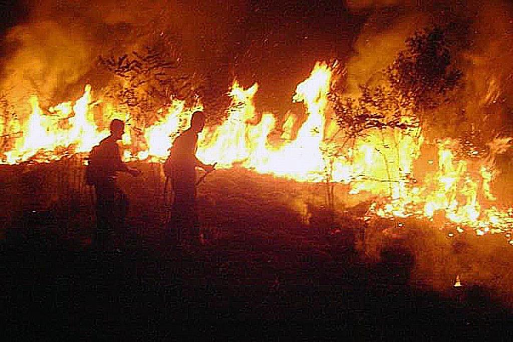 Siete estados en Brasil solicitan apoyo de militares contra incendios. Noticias en tiempo real