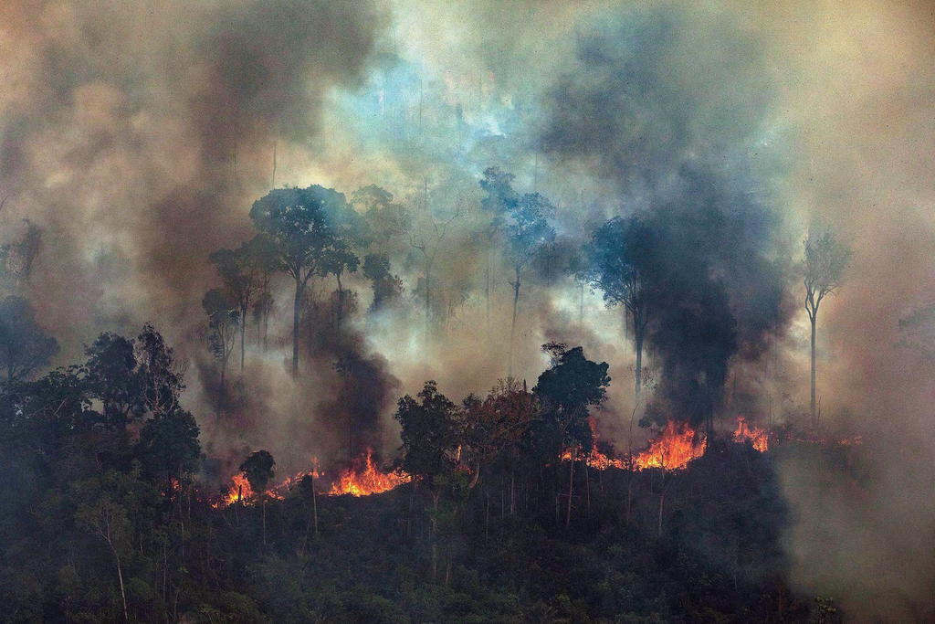 Incendios en el Amazonas se cuadruplicaron este año. Noticias en tiempo real