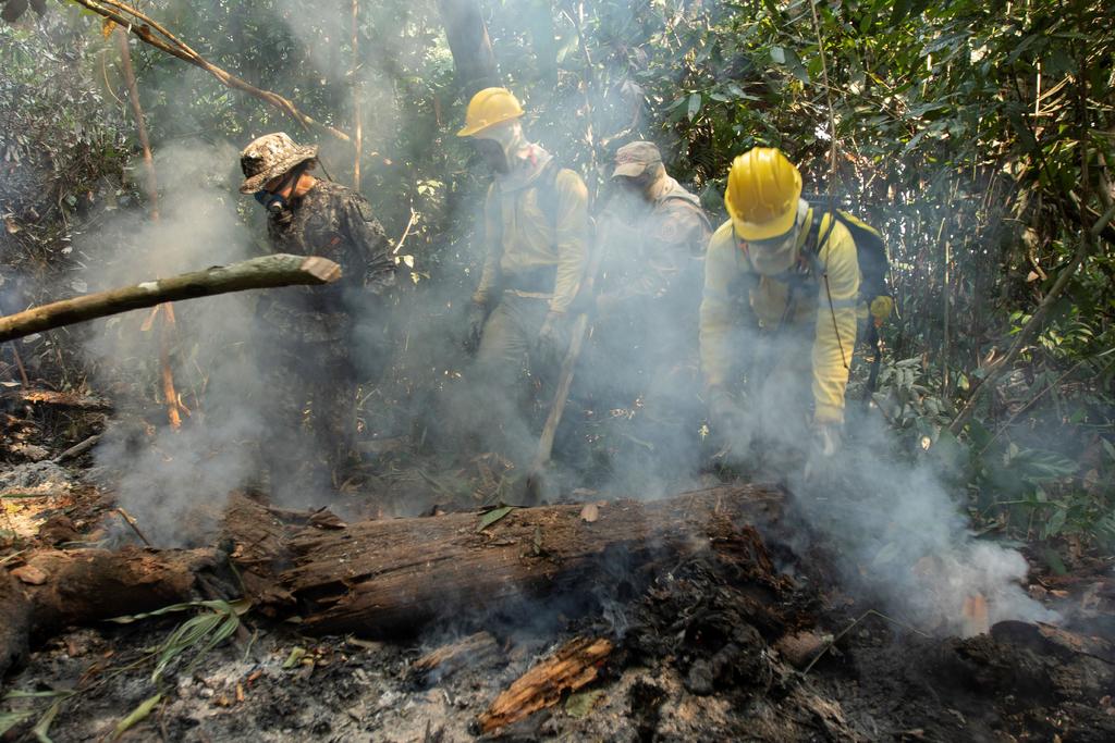 Prosigue combate sin tregua a incendios del Amazonas. Noticias en tiempo real