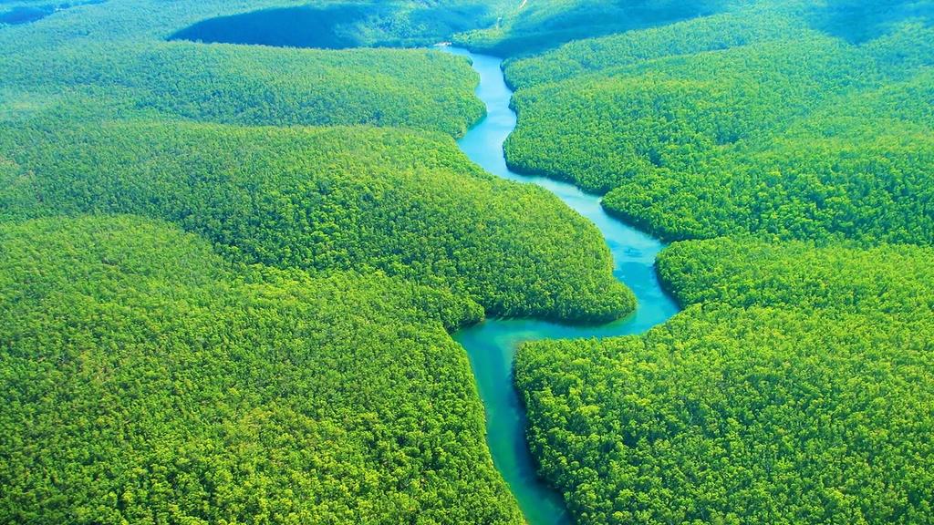 Presidentes firmarán pacto para proteger la Amazonia. Noticias en tiempo real
