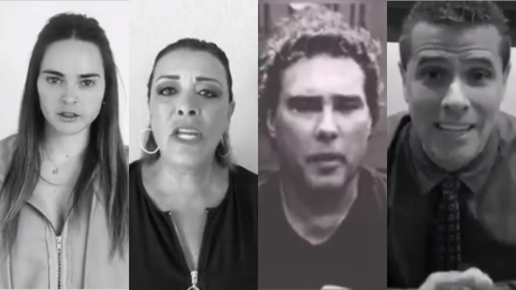 Celebridades se unen en apoyo a los animales. Noticias en tiempo real