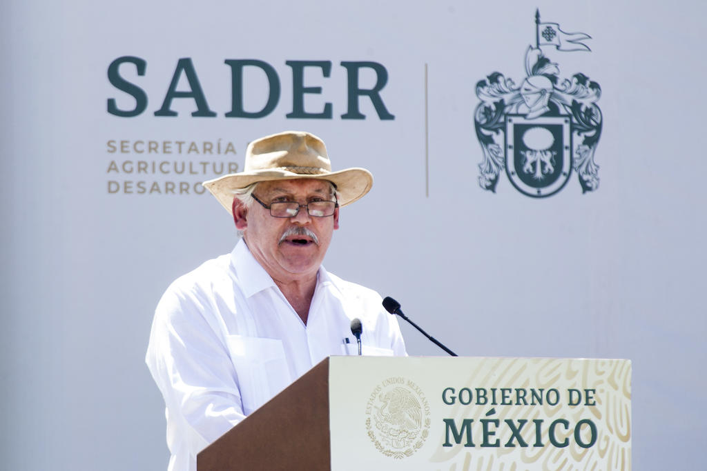 Aunque México es productor de maíz, recibe importado: Sader. Noticias en tiempo real