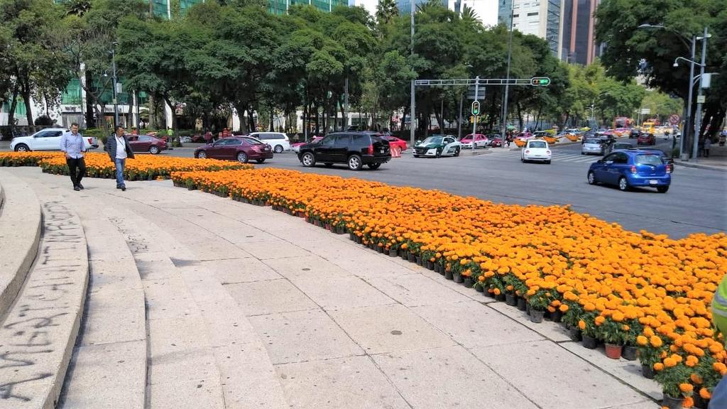 Plantan 270 mil flores de cempasúchil en Paseo de la Reforma. Noticias en tiempo real