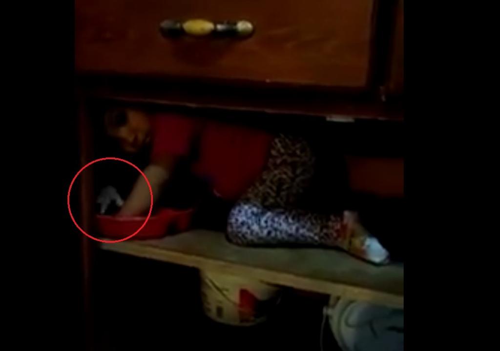 VIRAL: Extraña mano aparece junto a niña en una alacena. Noticias en tiempo real
