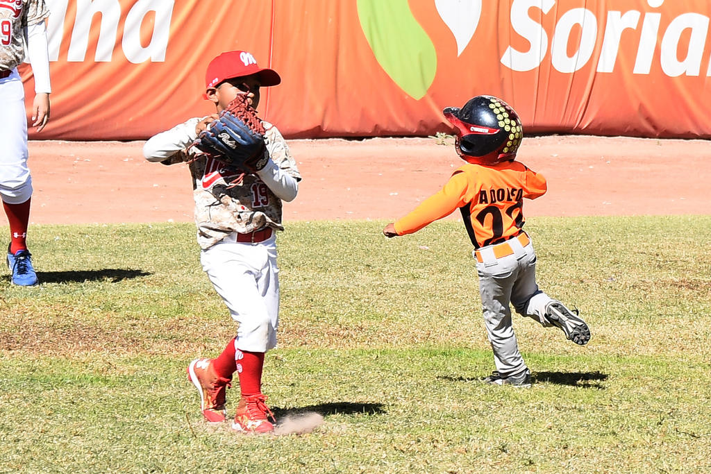 Habrá festival de beisbol infantil en la Laguna. Noticias en tiempo real