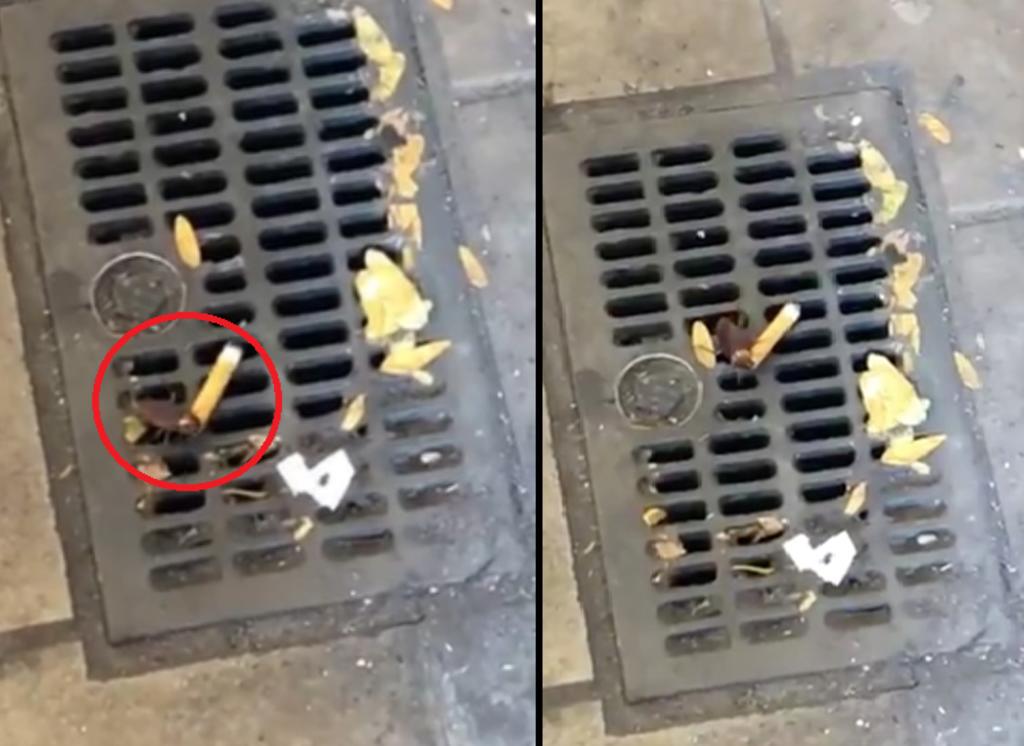 Cucaracha cargando un cigarro es filmada en Nueva York. Noticias en tiempo real