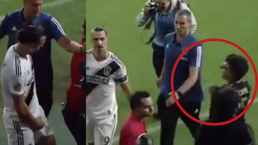 ¿Provocó Jaime Camil seña obscena de Zlatan?. Noticias en tiempo real
