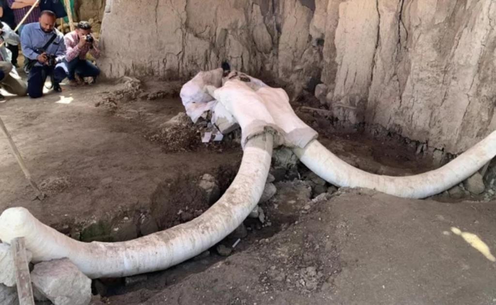 Descubren en Tultepec primeras trampas de mamut. Noticias en tiempo real