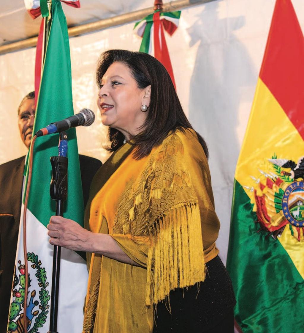 México no reconoce gobierno de Jeanine Áñez: embajadora en Bolivia. Noticias en tiempo real