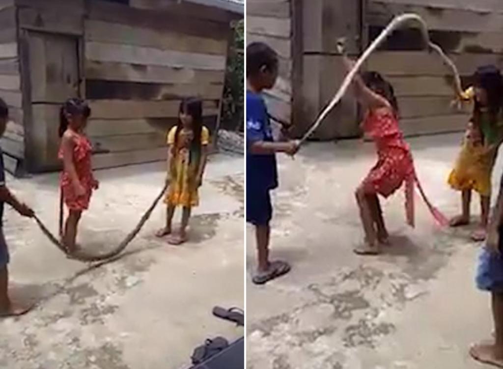 Niños usan serpiente muerta para saltar la cuerda. Noticias en tiempo real