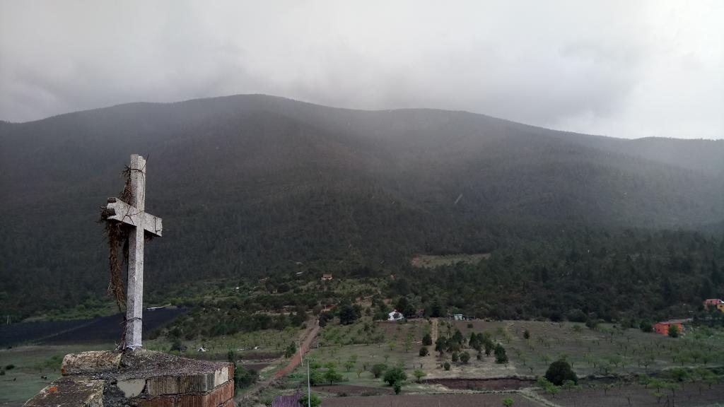 Nuevo frente frío traerá heladas para la sierra de Coahuila. Noticias en tiempo real