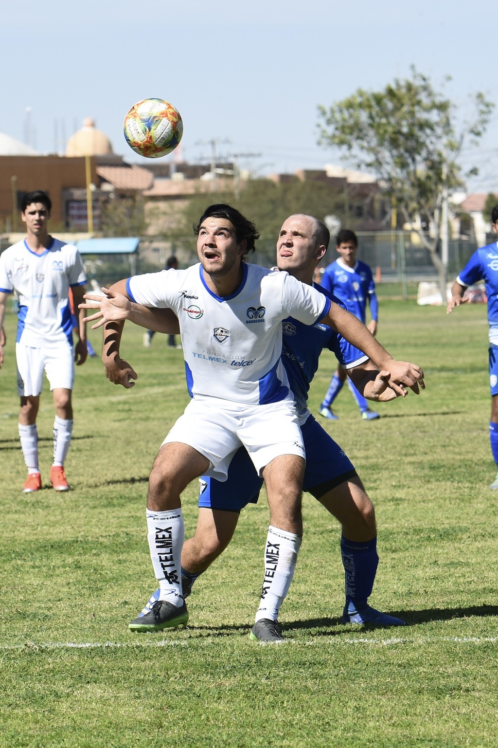 Cae TEC Laguna ante Querétaro en el CUT - El Siglo de Torreón