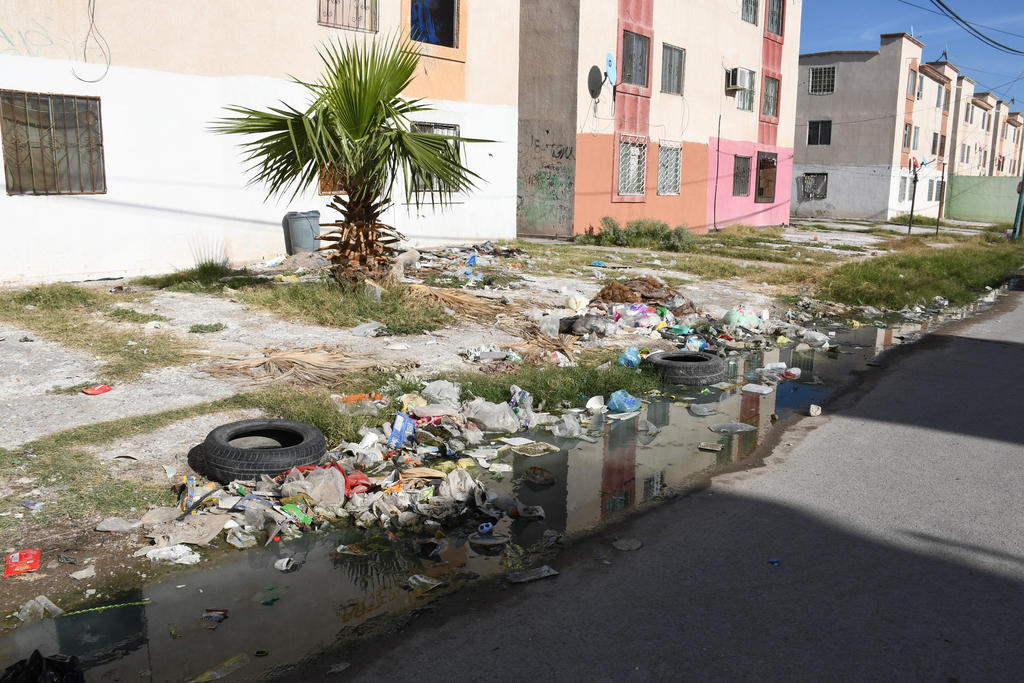 Usan calles como basurero en Rincón la Merced. Noticias en tiempo real
