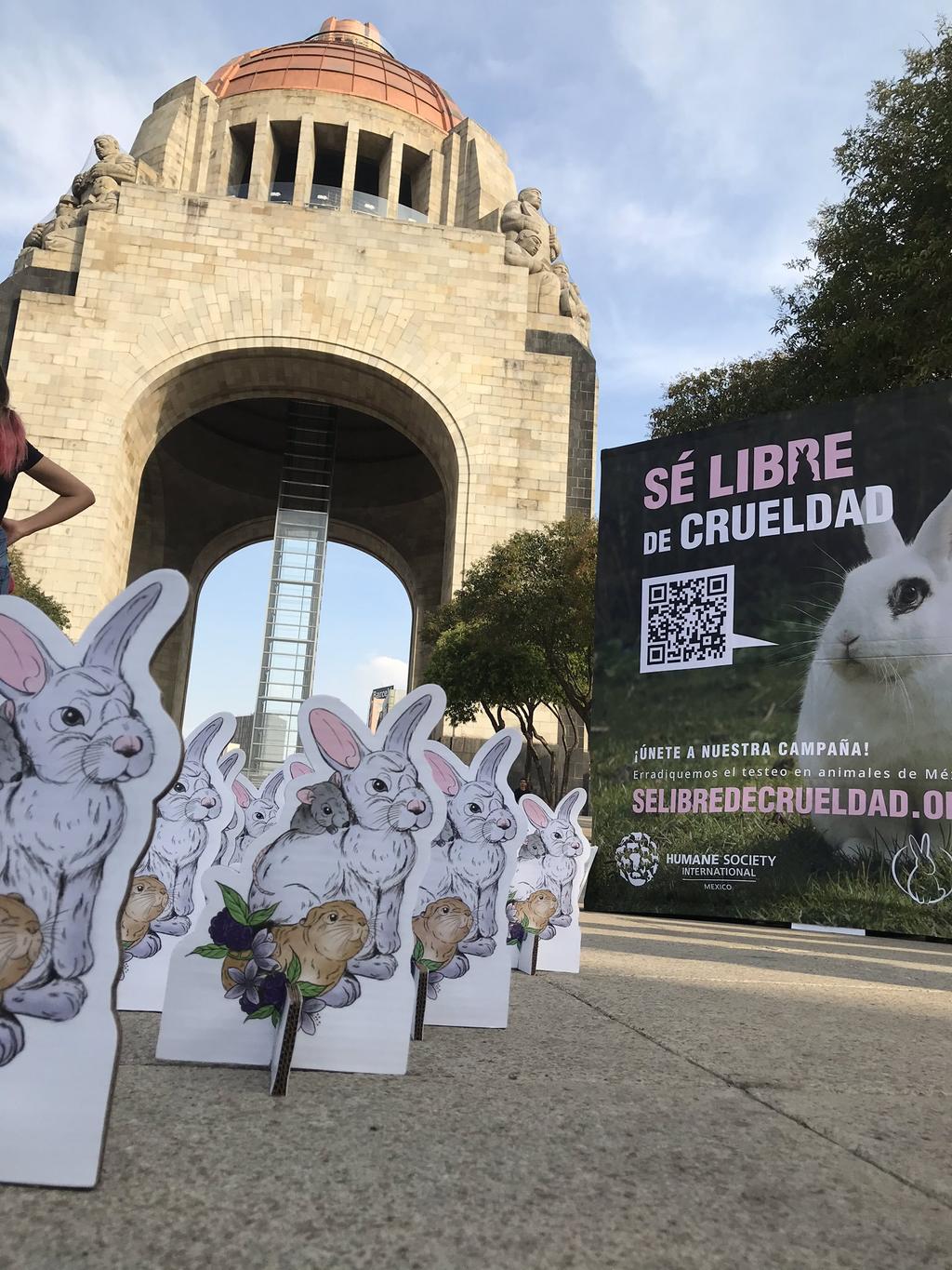 Mil conejos y activistas piden a Congreso ley contra pruebas en animales. Noticias en tiempo real