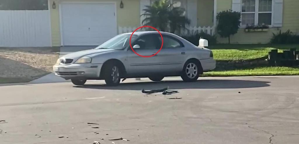 VIDEO: Perro de Florida da la vuelta solo en auto. Noticias en tiempo real
