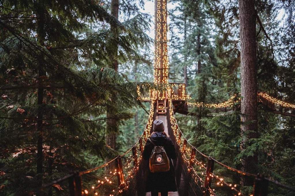 Conoce el puente colgante Capilano en Vancouver, El Siglo de Torreón