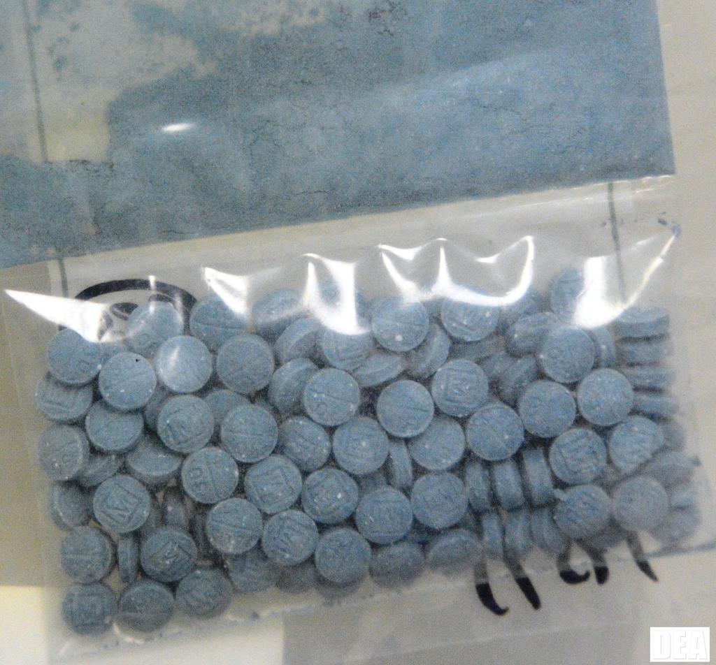 Aseguran cientos de pastillas de fentanilo en Sonora. Noticias en tiempo real