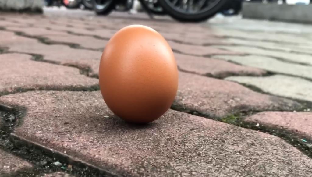 VIRAL: El misterio del huevo que se quedó parado durante el eclipse solar. Noticias en tiempo real