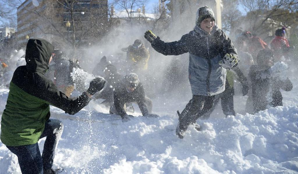 Ciudad estadounidense legaliza las peleas de bolas de nieve. Noticias en tiempo real