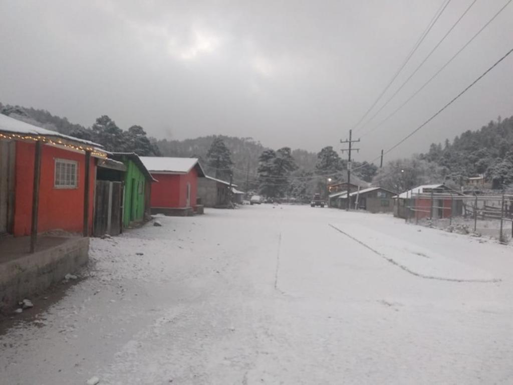 Suman 11 municipios nevados en Durango. Noticias en tiempo real