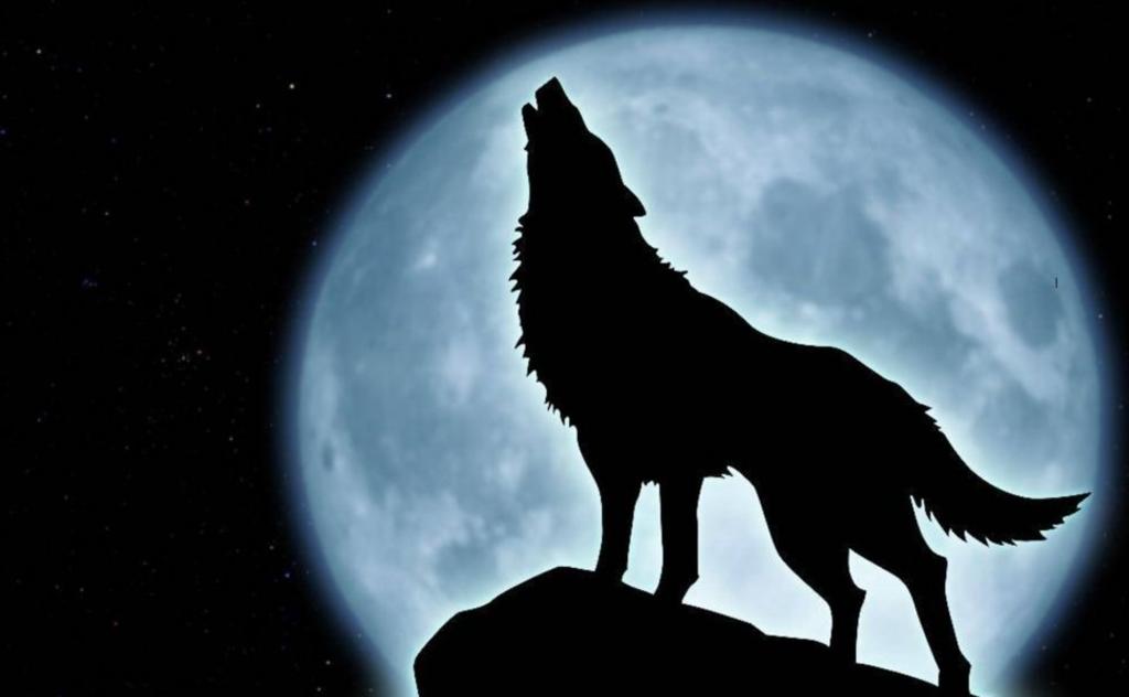 ¿Cuándo será la Luna llena de Lobo?. Noticias en tiempo real